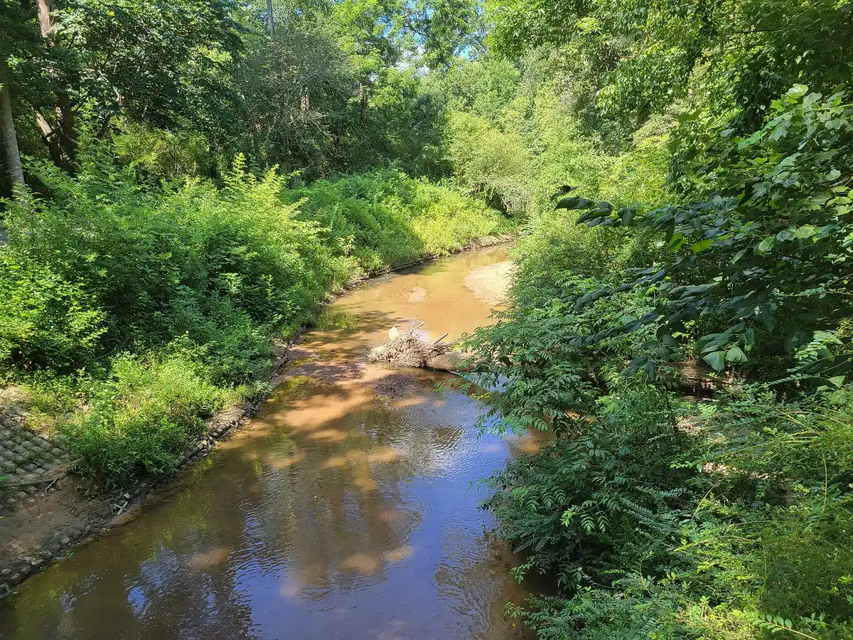 Sewell Mill Creek running through East Cobb Park