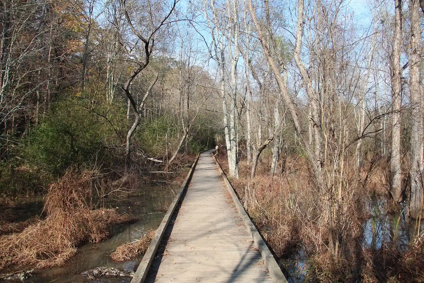 A boardwalk on the Cochran Shoals trail in the Chattahoochee River National Recreation Area